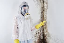 Best Attic Mold Removal  in Arma, KS